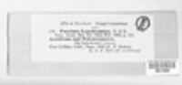 Image Associated With the Occurence